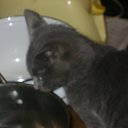 ���� �����, �������, 56 ��� - ��������� 29 ������� 2012 � ������ ������� �������