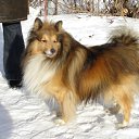 ���� ����, ������, 58 ��� - ��������� 17 ������� 2012 � ������ ���� ����������