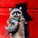 ���� Alex, ���������, 44 ���� - ��������� 27 ������ 2009 � ������ ���������