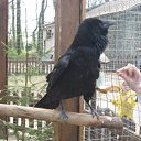 ���� �������, �����-���������, 49 ��� - ��������� 29 ���� 2011 � ������ �������� ������