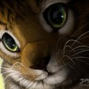 ���� �������, �������, 38 ��� - ��������� 23 ������� 2009