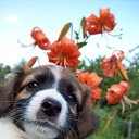 ���� ��� �������, �������, 46 ��� - ��������� 14 ����� 2013 � ������ ���� ����������