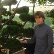 ����, 43 ����, ������