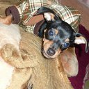  ,  , 56  -  16  2012    