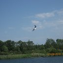 ���� ���, ������, 30 ��� - ��������� 6 ������� 2010 � ������ ��������