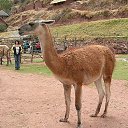 ���� ������� ������, ������� ���� �� ������������!, ������ - ��������� 8 ������� 2009 � ������ ���� �� � ������� :))�