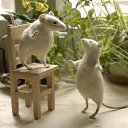 ���� ��� ����� :D, ����� - ��������� 2 ������� 2012 � ������ ���� ����������