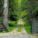 ���� �������, ������������, 52 ���� - ��������� 31 ����� 2010 � ������ �������