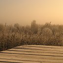 ���� �������, �������, 57 ��� - ��������� 16 ������ 2012 � ������ ����� ������� �����