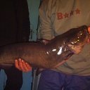 ���� �����, ��������, 51 ��� - ��������� 18 �������� 2011 � ������ ���� ����������