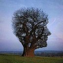  Karen, , 44  -  25  2012    