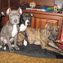 ���� �������, ����������, 38 ��� - ��������� 23 ������� 2011 � ������ ���� ����������