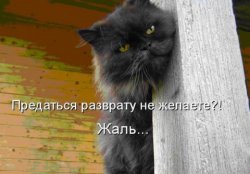 ���� ������, ����������, 54 ���� - ��������� 28 �������� 2011