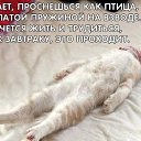 ���� ��������, ��������, 60 ��� - ��������� 21 ���� 2013 � ������ ��� ���� ��...�