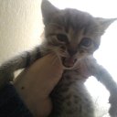   , , 45  -  23  2011   2