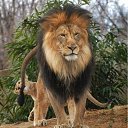 ���� ���, �����-���������, 47 ��� - ��������� 23 ������ 2011