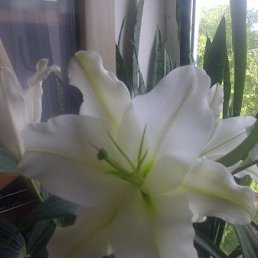 , , 25 