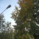  ,  -  22  2012   * ..*