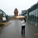 ���� ���������, ������, 37 ��� - ��������� 16 ��� 2013 � ������ ���� ����������