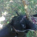 ���� ������, �����-���������, 60 ��� - ��������� 25 ���� 2011