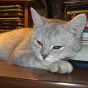 ���� ����, �������, 39 ��� - ��������� 24 ������ 2010 � ������ ���� ���� :)�