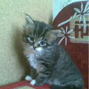 ����� 2 ������ �� ������� �RoadKing�