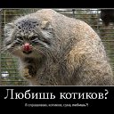 ���� �������, �������, 59 ��� - ��������� 7 ������� 2010 � ������ �������