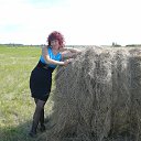 ���� ����, ������ - ��������� 19 ������� 2012 � ������ ���� ����������