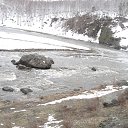 ���� �����, ������������, 54 ���� - ��������� 8 ���� 2013 � ������ ���� ����������