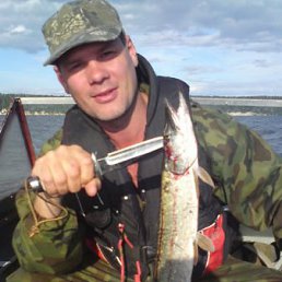 ������, ������, 54 ����