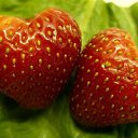 ���� ������, ����������� - ��������� 16 �������� 2012