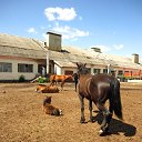 ���� ����, ������, 44 ���� - ��������� 8 ���� 2010 � ������ �1�