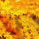  Back To Real Life, , 57  -  1  2012    