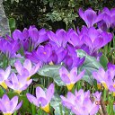 ���� ������� Ua6bbb, ���������, 76 ��� - ��������� 8 ��� 2013 � ������ ���� ����������