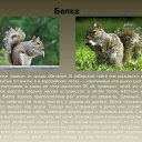 ���� �������, ������ - ��������� 18 ������� 2012 � ������ ���� ����������