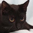 ���� ��������, ������, 22 ���� - ��������� 3 ���� 2012 � ������ �������