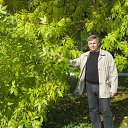 ���� ����, �������, 67 ��� - ��������� 15 ��� 2013 � ������ ���� ����������