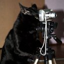 ���� ����� �������, ������-��� - ��������� 15 �������� 2011 � ������ �������