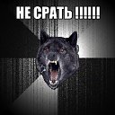 ���� ����, ������, 48 ��� - ��������� 13 ������� 2012 � ������ ��������.�