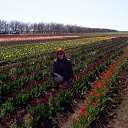  , , 49  -  9  2011   Avataria