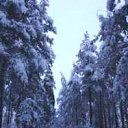 ���� ���������, ���������� - ��������� 10 ������ 2010 � ������ �*** ������� ***�