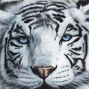 ���� �������, ��������, 44 ���� - ��������� 22 ������ 2010 � ������ ��� ����� ��������.�