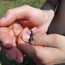 ���� �������, ���, 67 ��� - ��������� 31 ���� 2013 � ������ ������ �� ���� ��