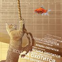 ���� Ju Kusenkova, �������, 38 ��� - ��������� 31 ��� 2010 � ������ �Work�