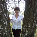 ���������� ������ �� ������� ���� ����������