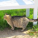  , , 40  -  27  2012    28.04 - 01.05.2012