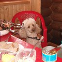 ���� ����, �������, 64 ���� - ��������� 19 ��� 2012 � ������ ���� ����������