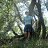 ���� �������, �����, 60 ��� - ��������� 25 ���� 2012
