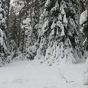 ���� �����, ������������, 54 ���� - ��������� 13 ������� 2012 � ������ ���� ����������