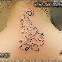 ���� ����, ������������, 45 ��� - ��������� 4 ���� 2013 � ������ �����